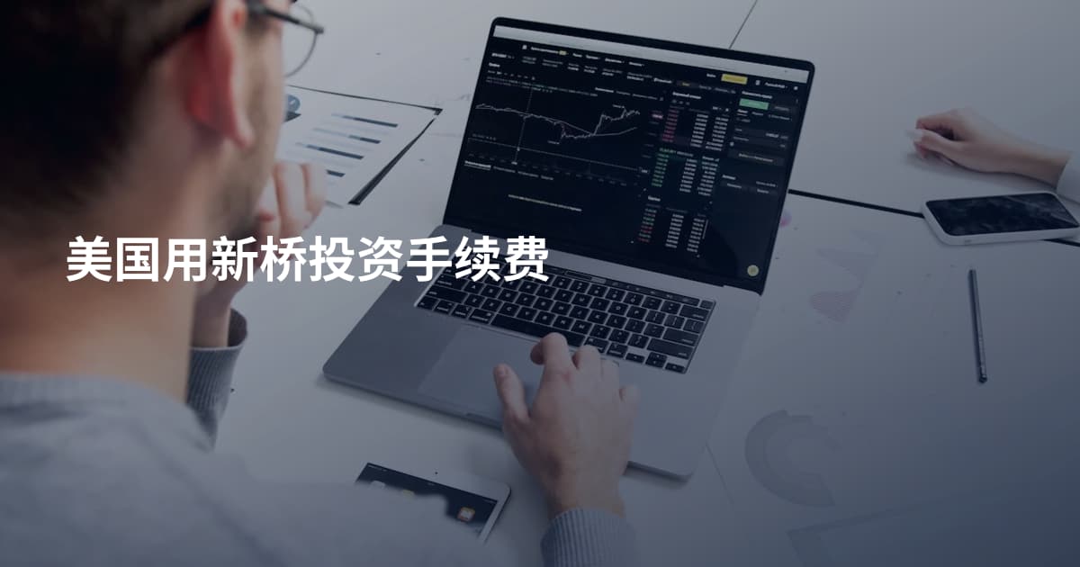 美国用新桥投资手续费