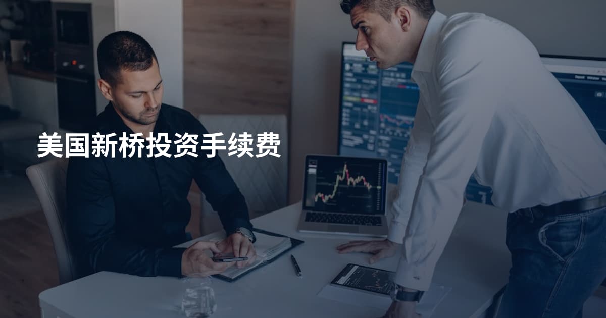 美国新桥投资手续费