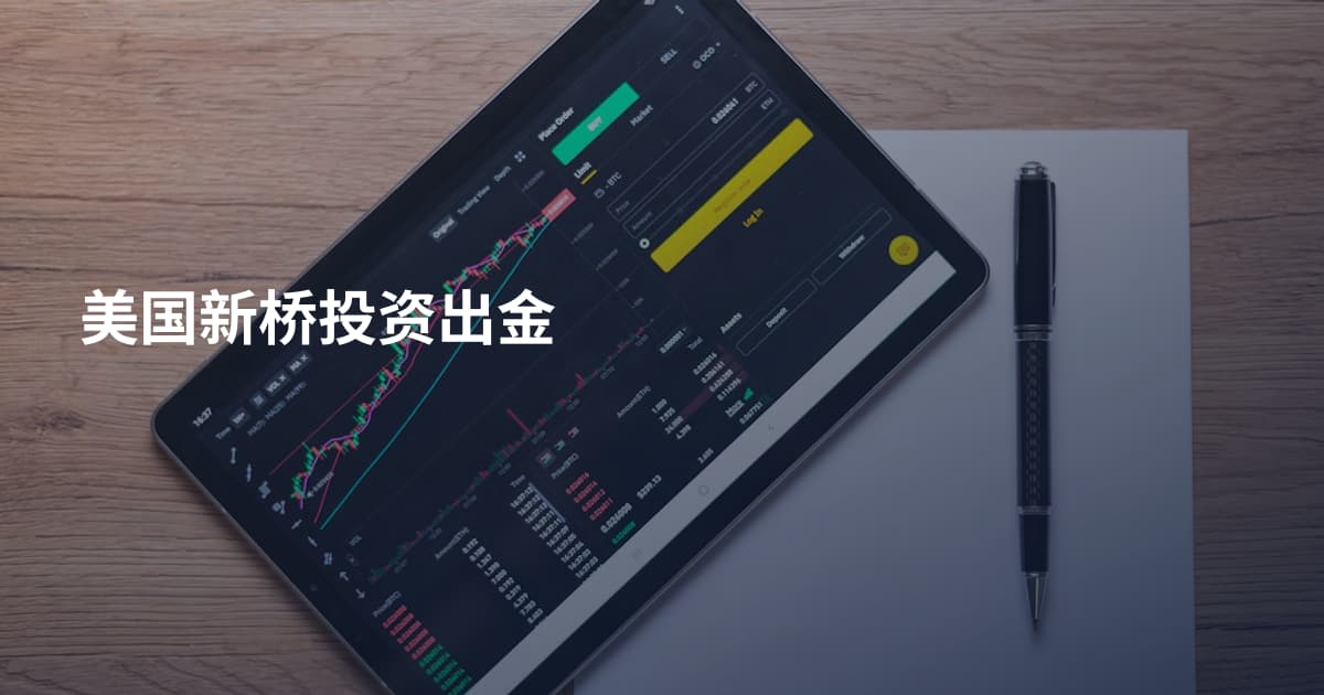 美国新桥投资出金
