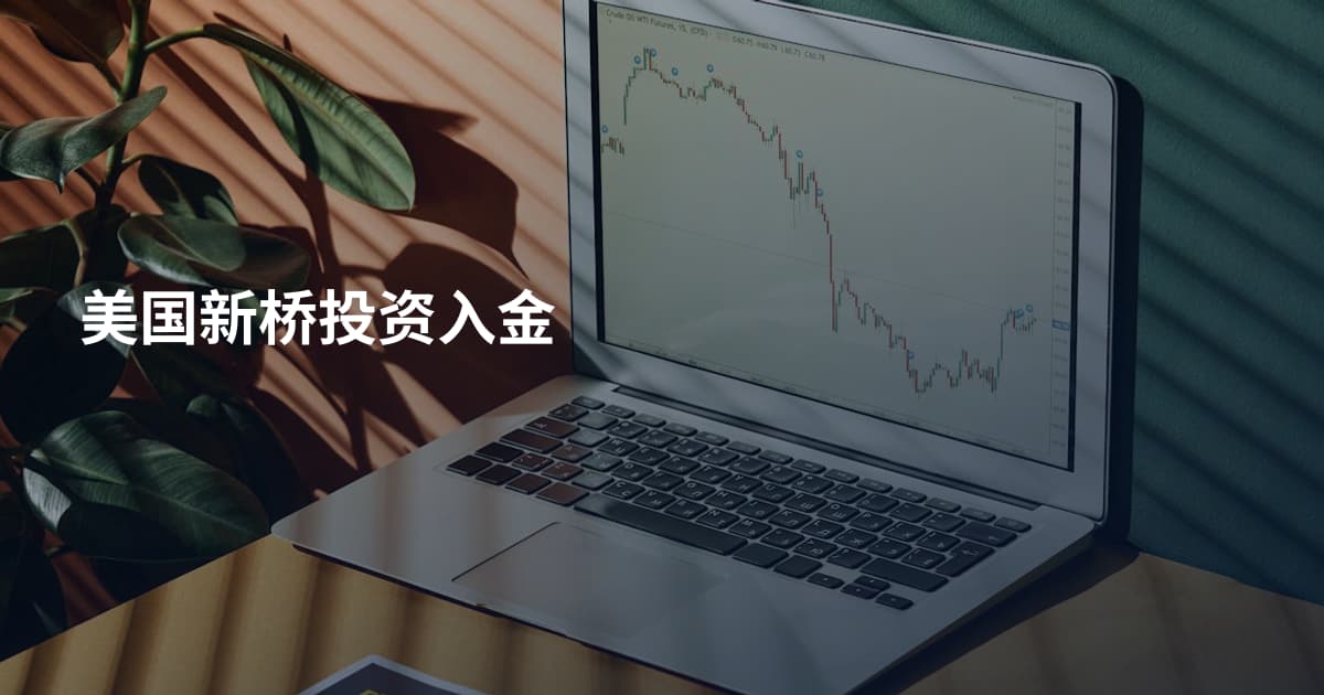 美国新桥投资入金