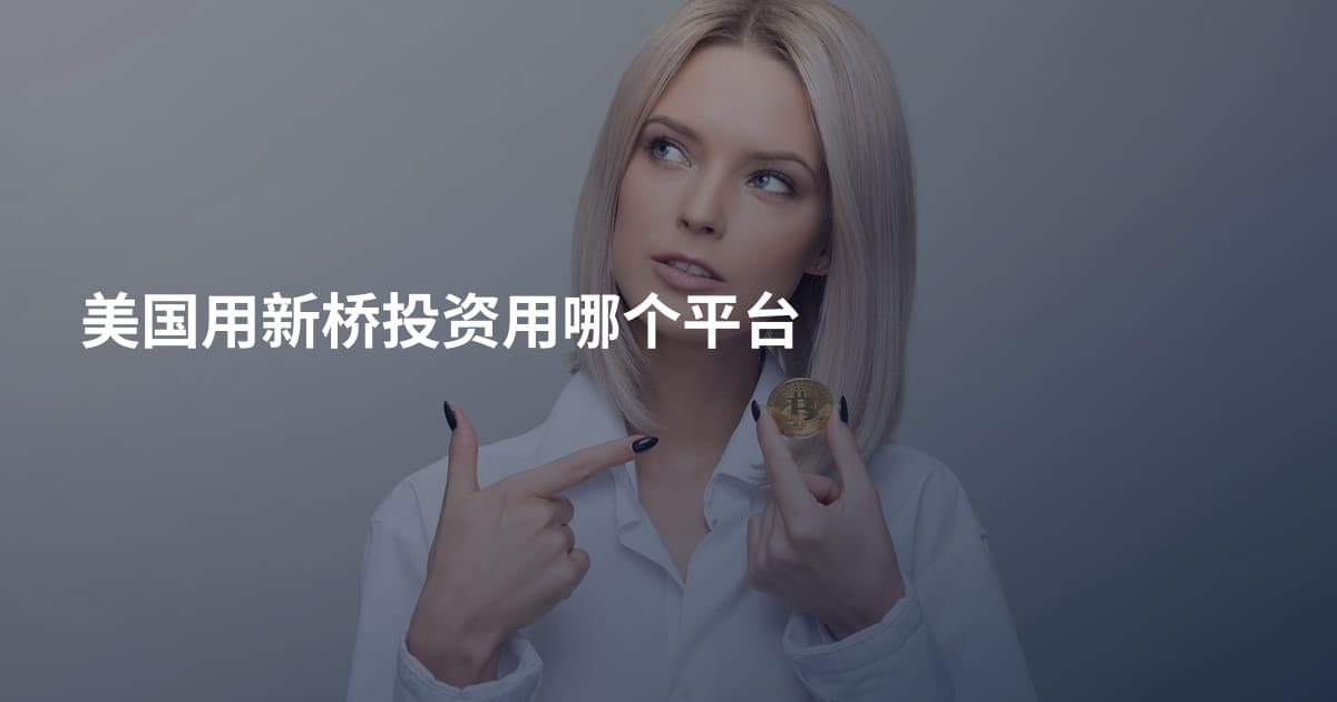 美国用新桥投资用哪个平台