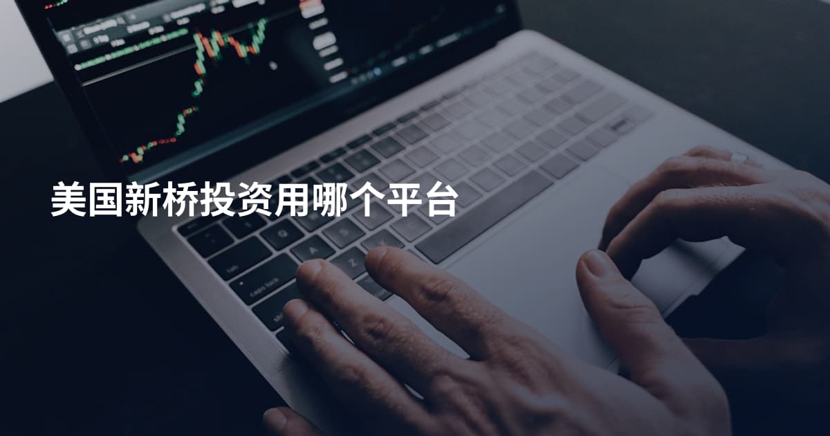 美国新桥投资用哪个平台