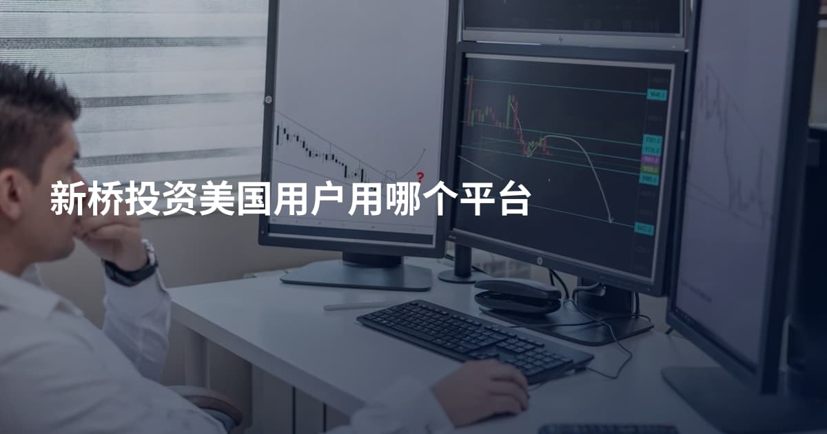 新桥投资美国用户用哪个平台