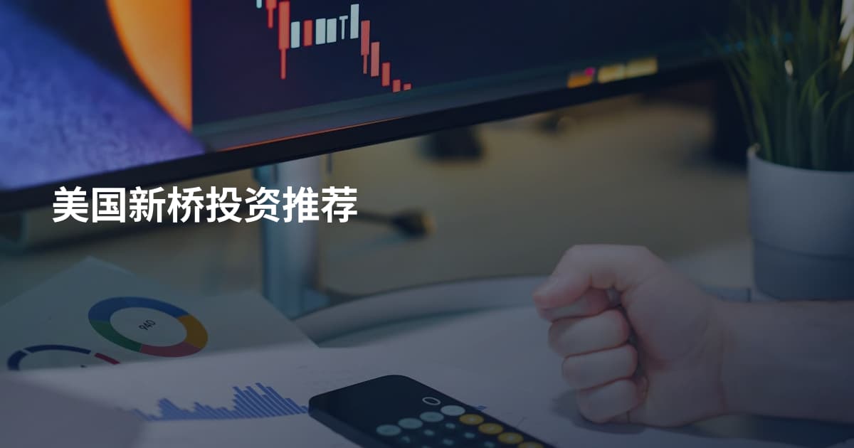 美国新桥投资推荐