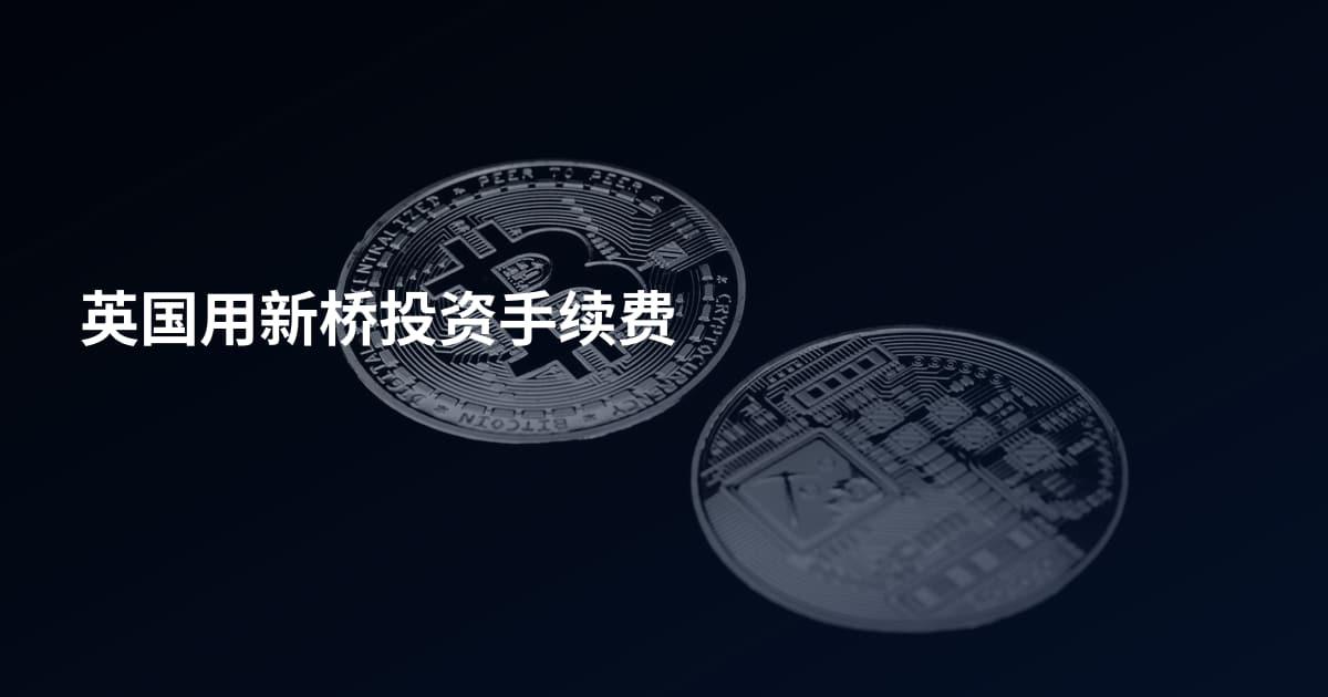 英国用新桥投资手续费