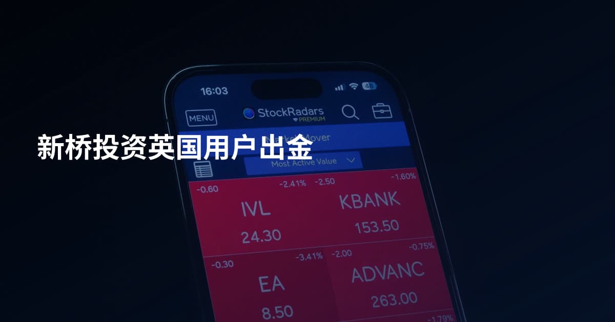 新桥投资英国用户出金