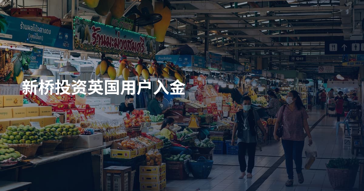 新桥投资英国用户入金