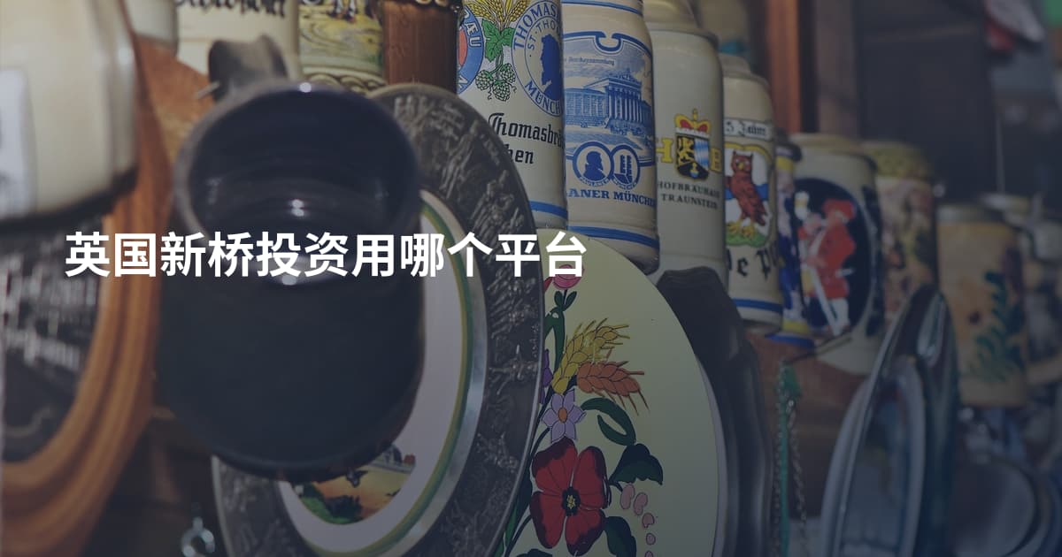 英国新桥投资用哪个平台