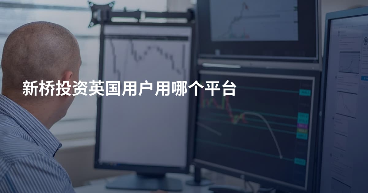 新桥投资英国用户用哪个平台