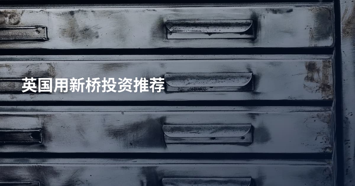 英国用新桥投资推荐