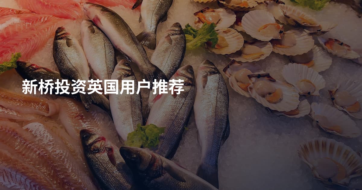 新桥投资英国用户推荐