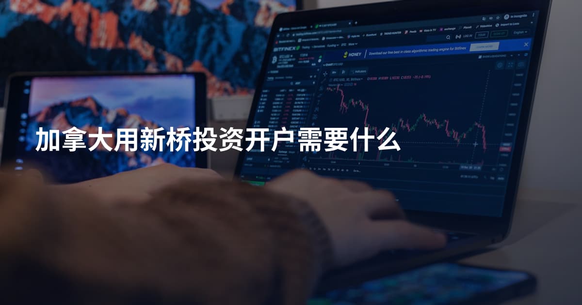 加拿大用新桥投资开户需要什么