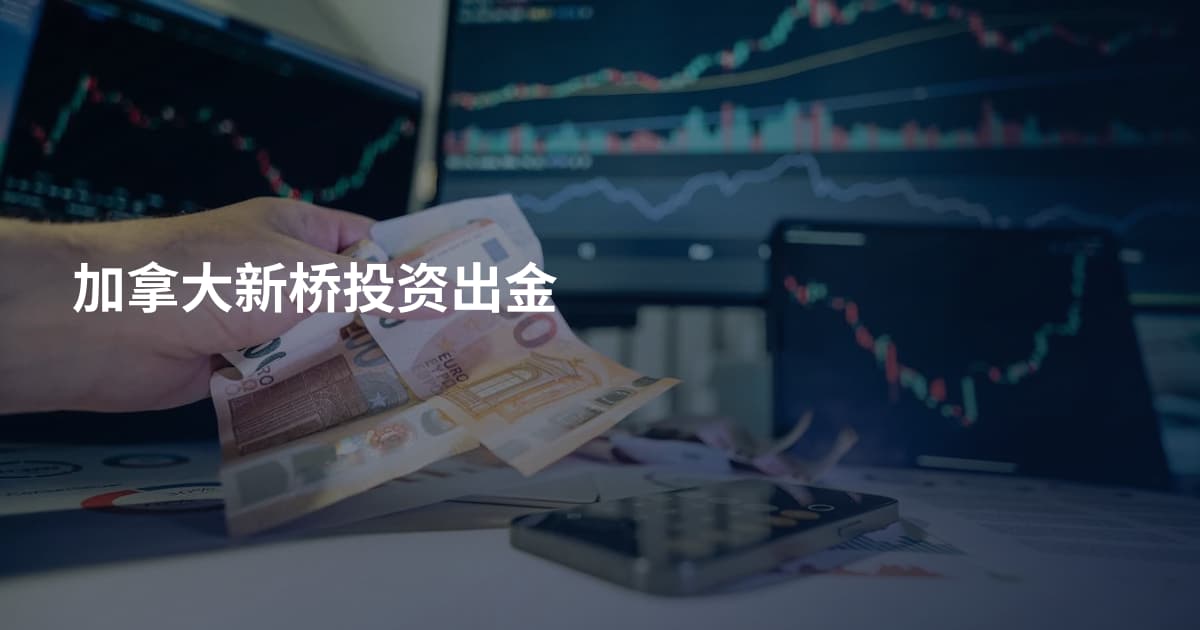 加拿大新桥投资出金