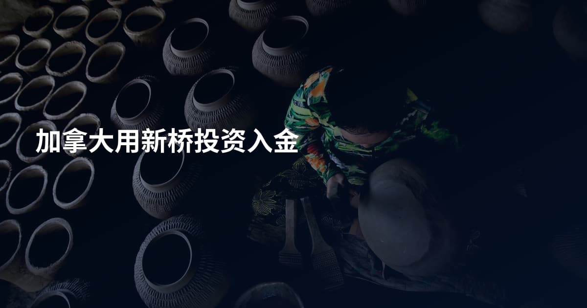 加拿大用新桥投资入金
