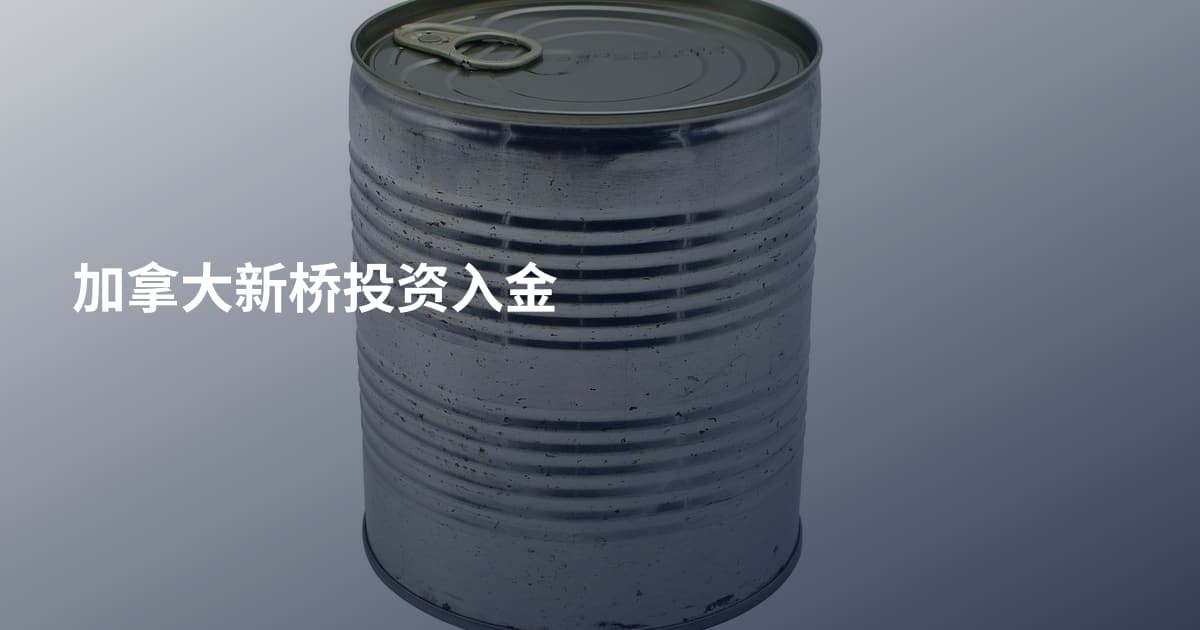 加拿大新桥投资入金