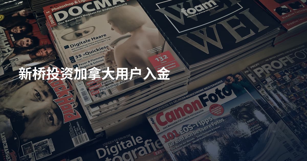 新桥投资加拿大用户入金