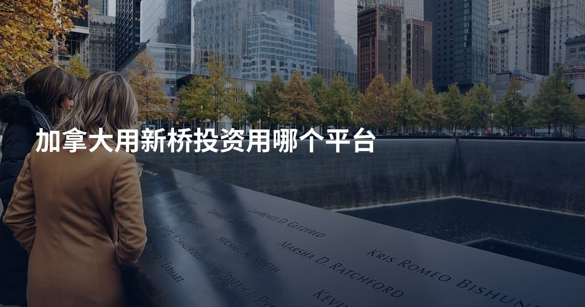 加拿大用新桥投资用哪个平台