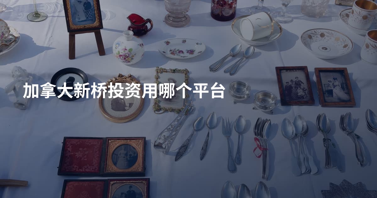 加拿大新桥投资用哪个平台