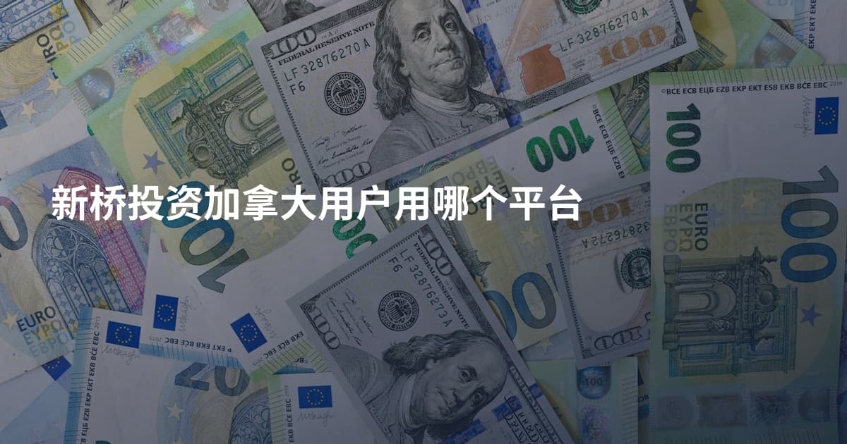 新桥投资加拿大用户用哪个平台