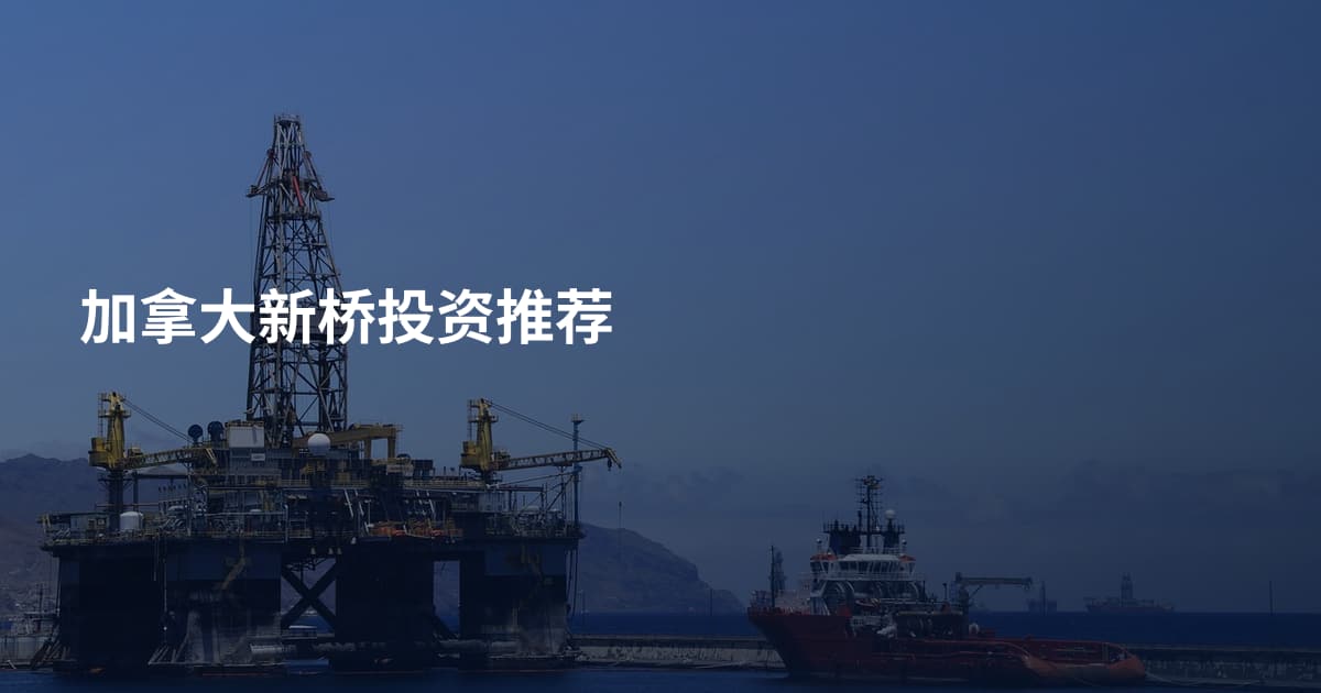 加拿大新桥投资推荐