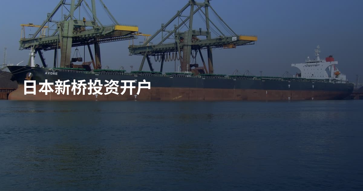 日本新桥投资开户
