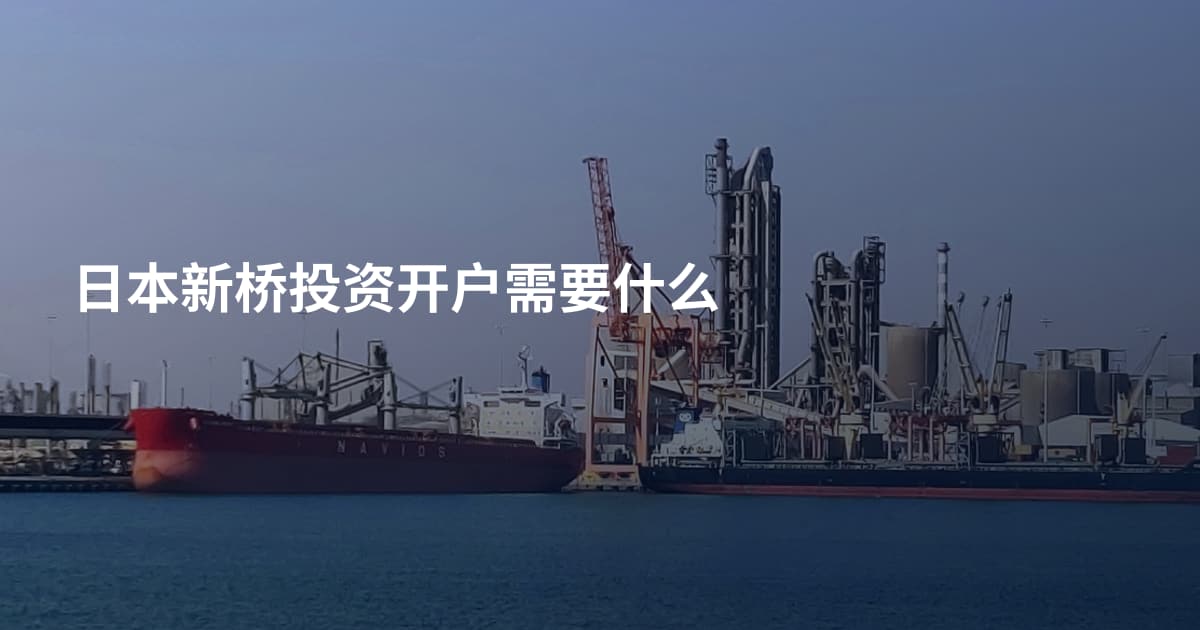 日本新桥投资开户需要什么