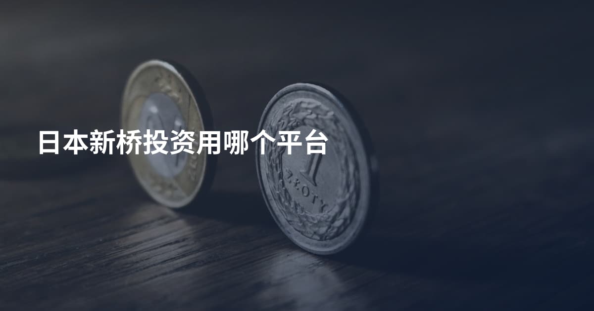 日本新桥投资用哪个平台