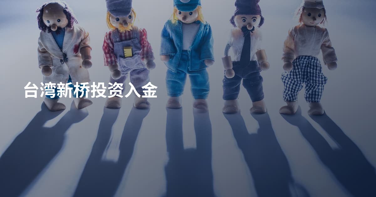 台湾新桥投资入金
