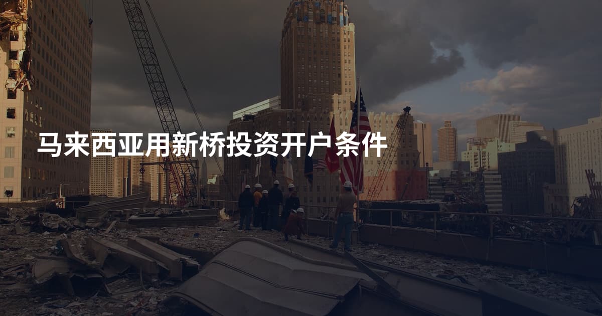 马来西亚用新桥投资开户条件
