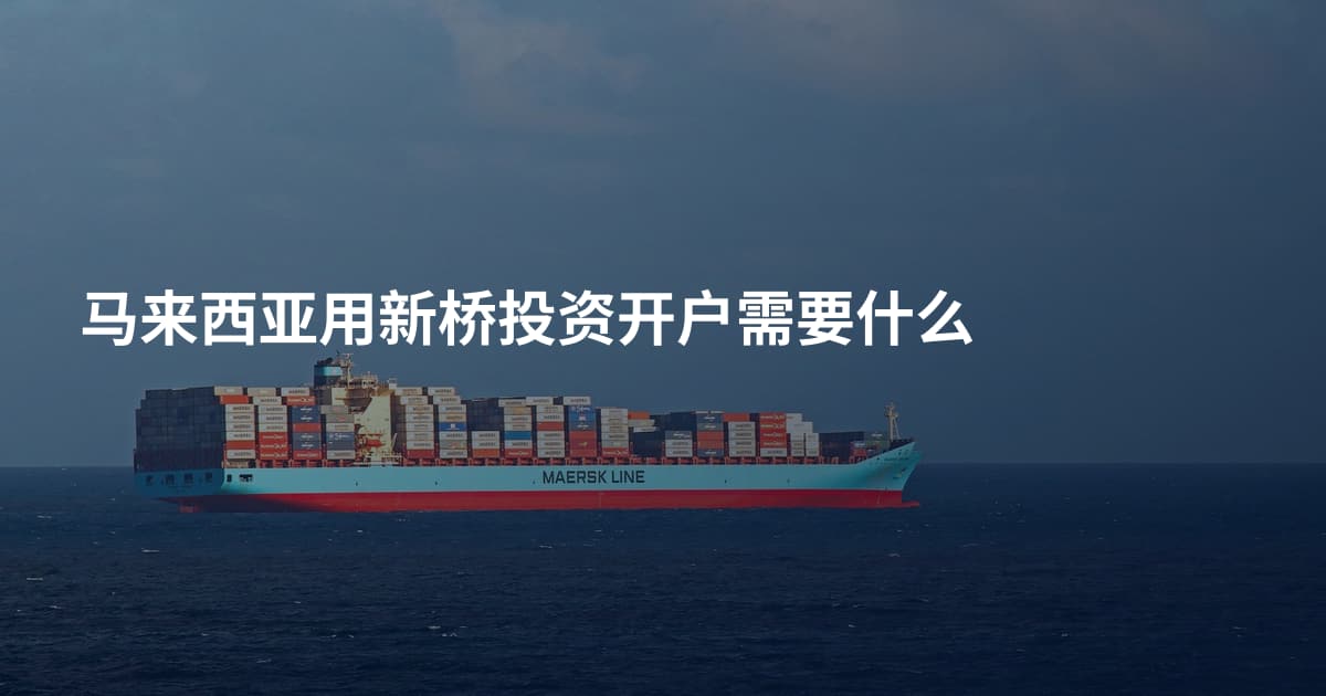 马来西亚用新桥投资开户需要什么