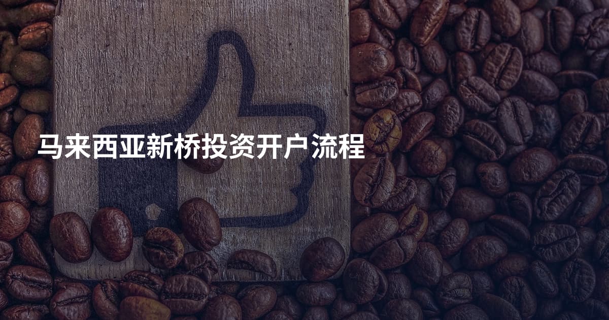 马来西亚新桥投资开户流程