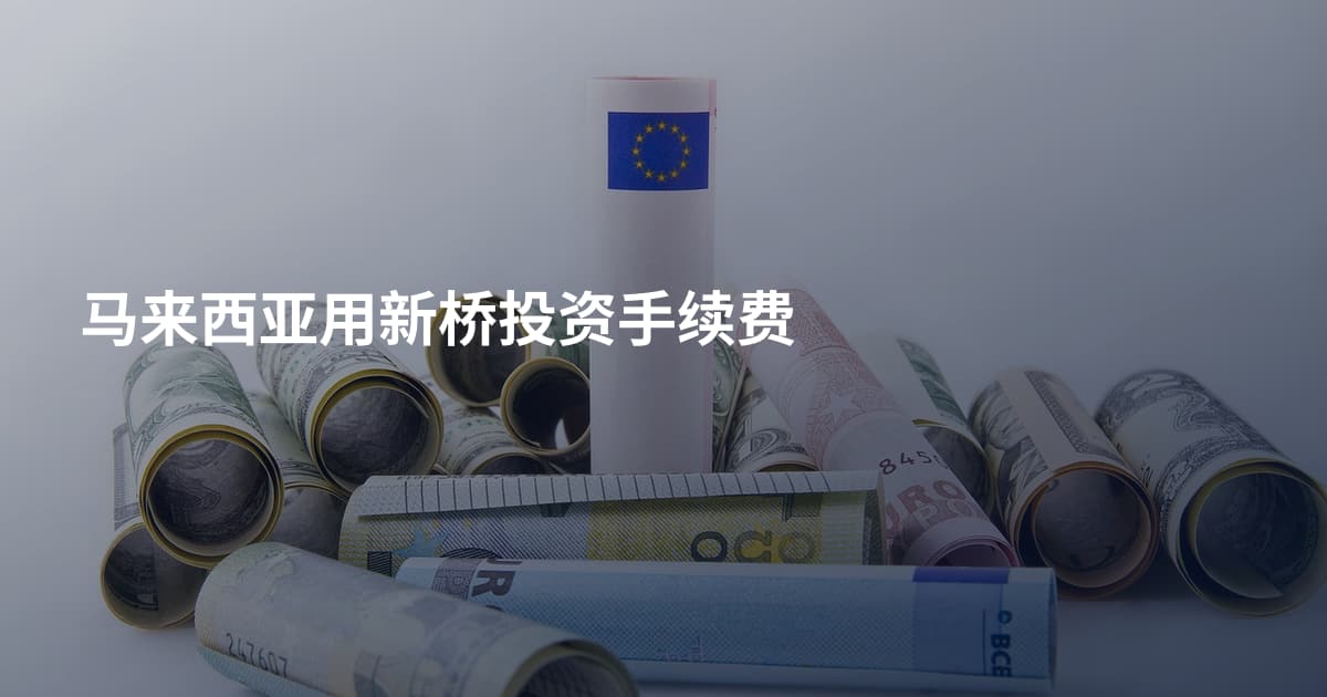 马来西亚用新桥投资手续费