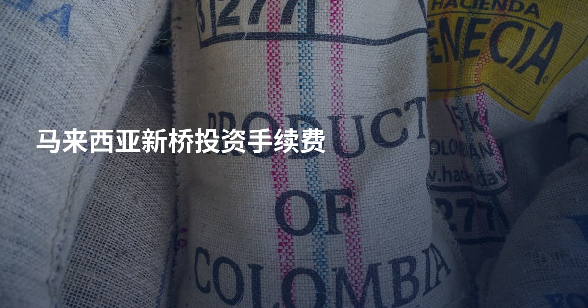 马来西亚新桥投资手续费