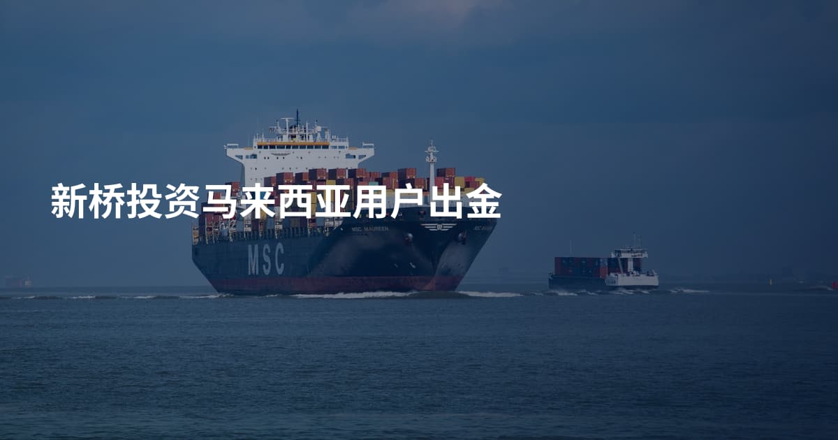 新桥投资马来西亚用户出金