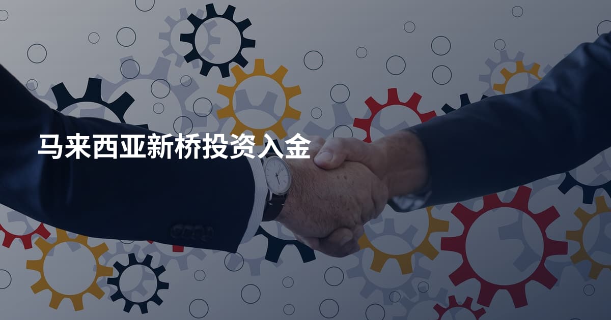 马来西亚新桥投资入金