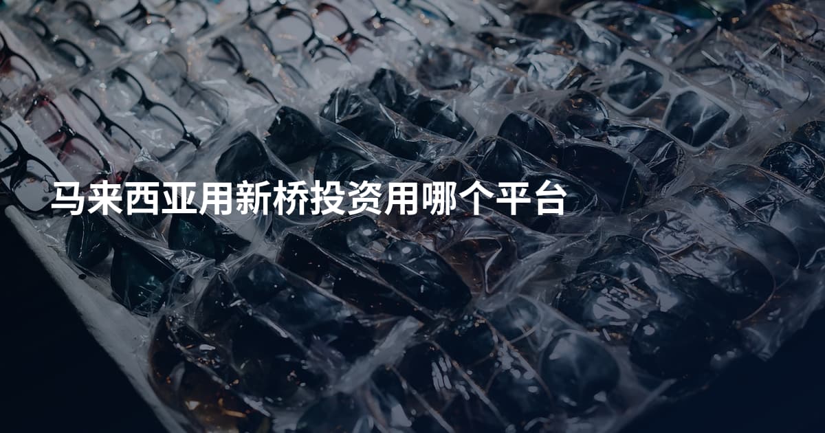 马来西亚用新桥投资用哪个平台