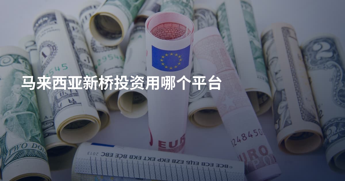 马来西亚新桥投资用哪个平台