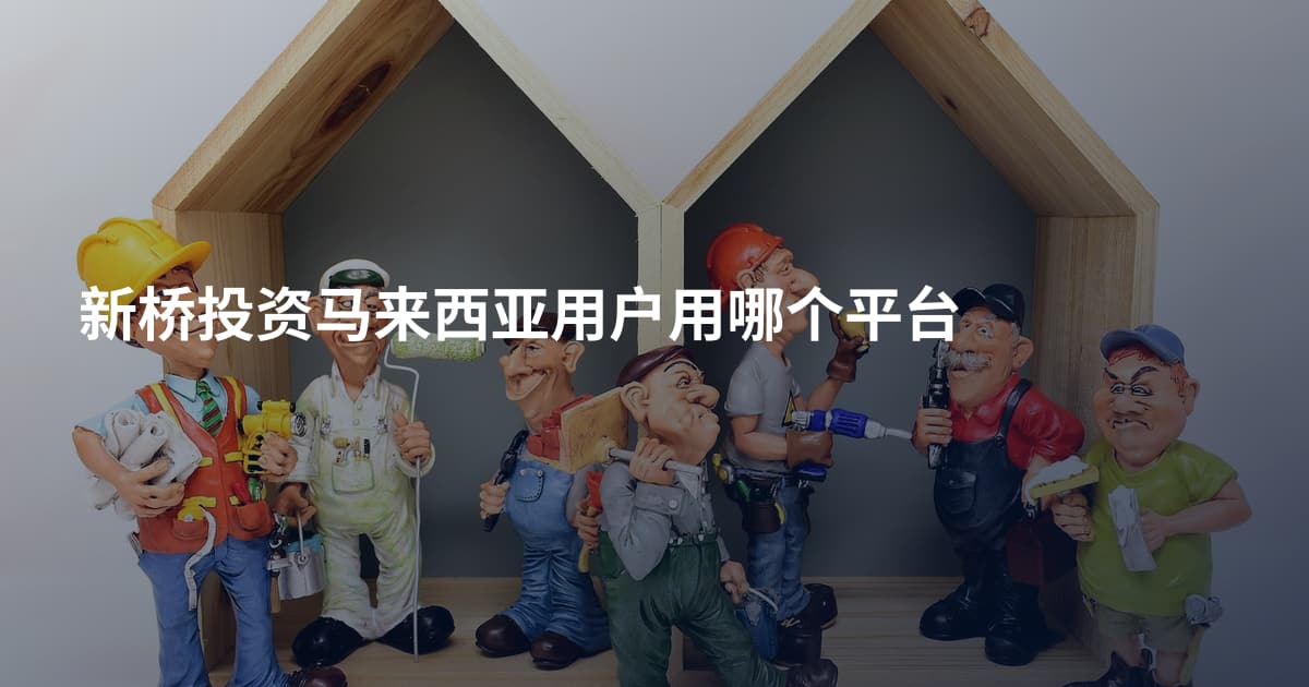 新桥投资马来西亚用户用哪个平台