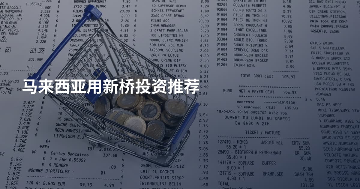 马来西亚用新桥投资推荐