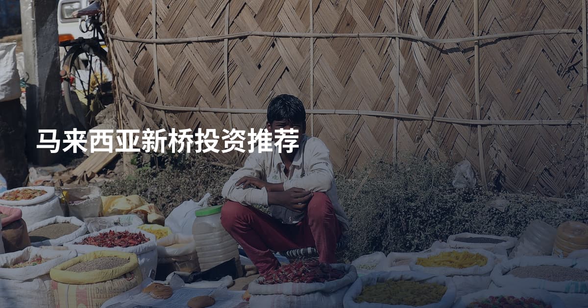 马来西亚新桥投资推荐