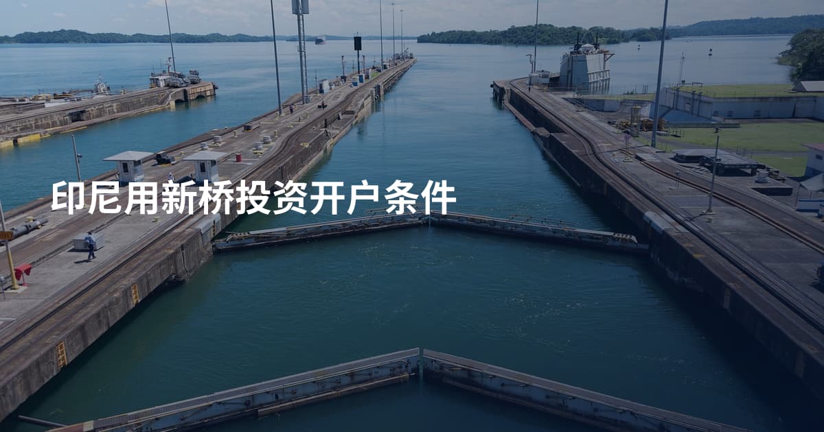印尼用新桥投资开户条件