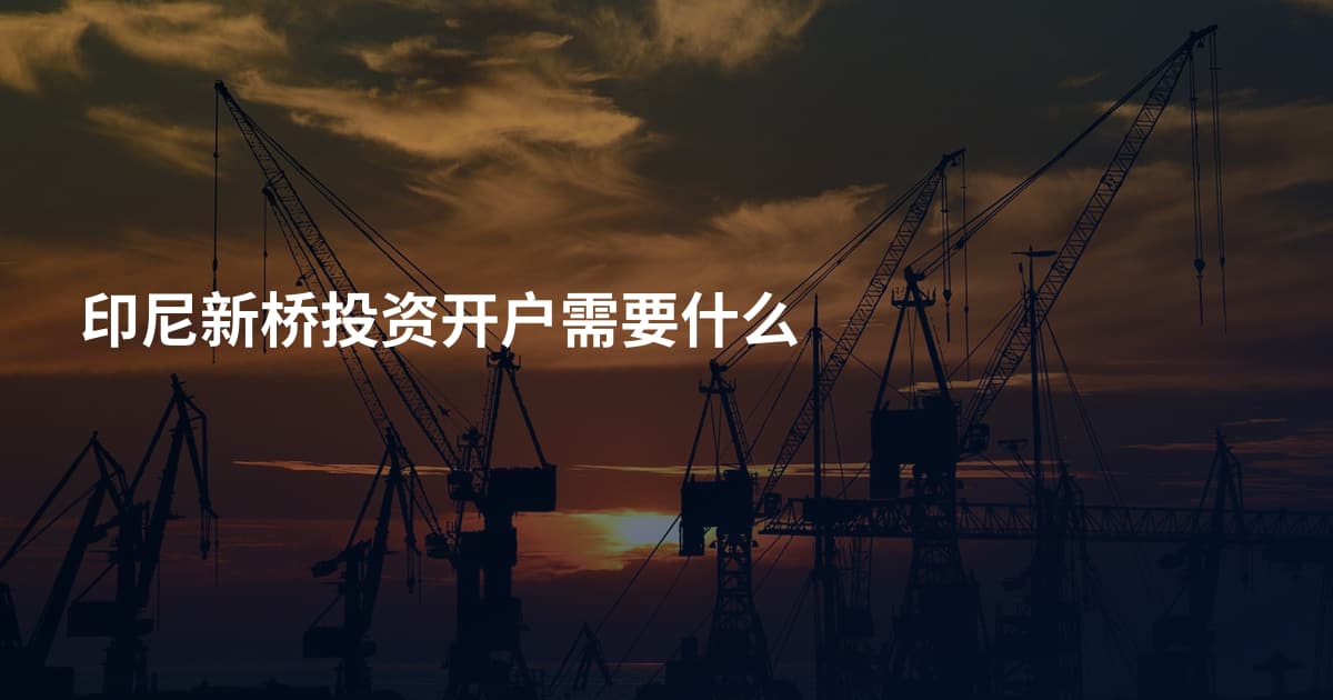 印尼新桥投资开户需要什么