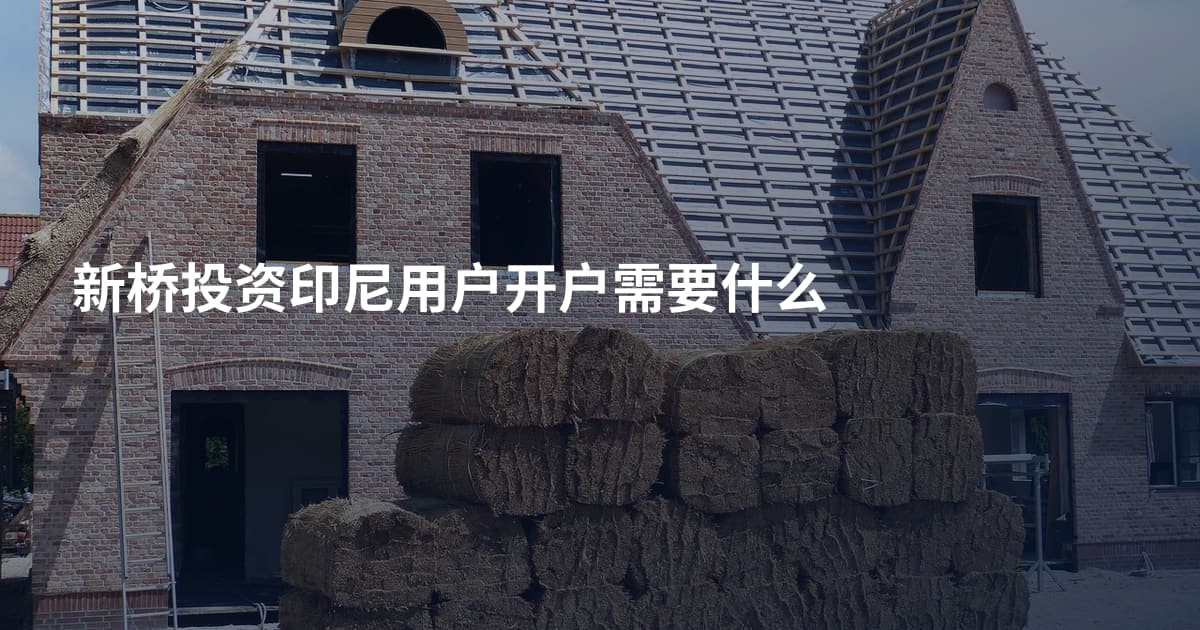 新桥投资印尼用户开户需要什么