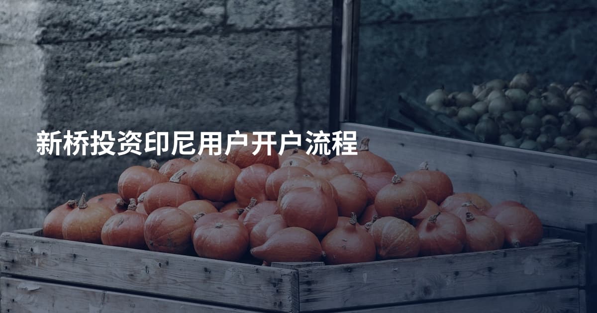 新桥投资印尼用户开户流程