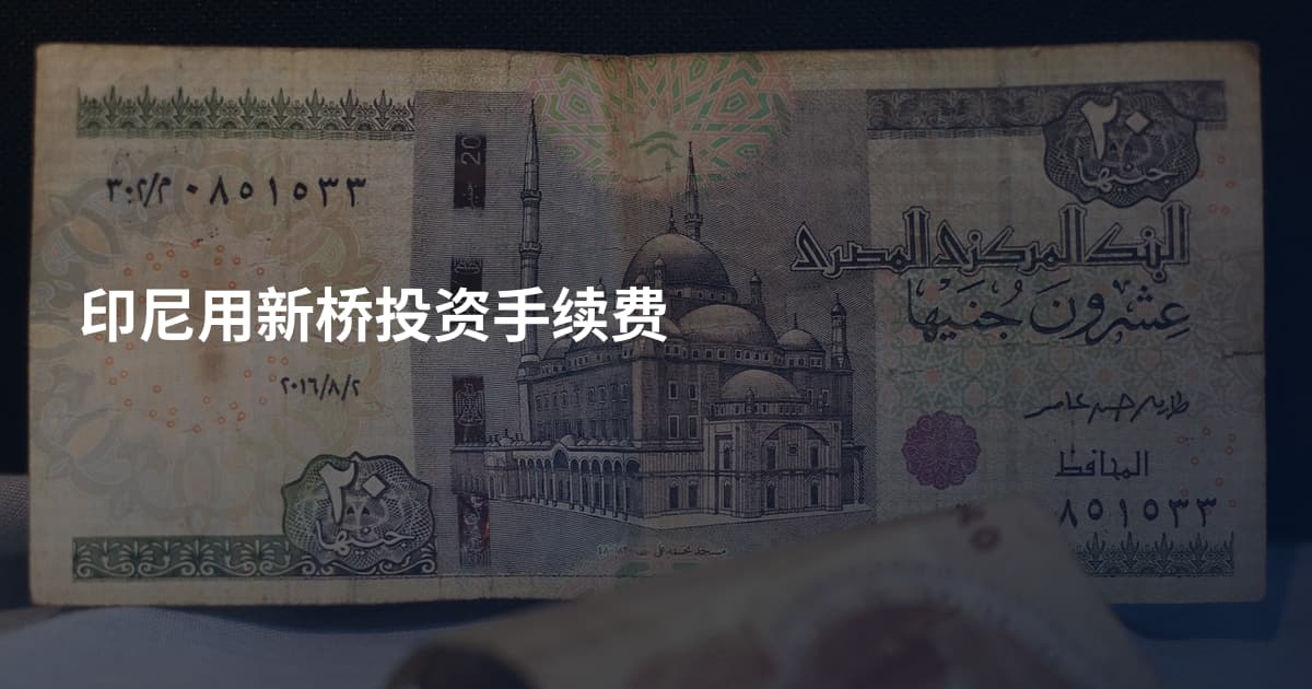印尼用新桥投资手续费
