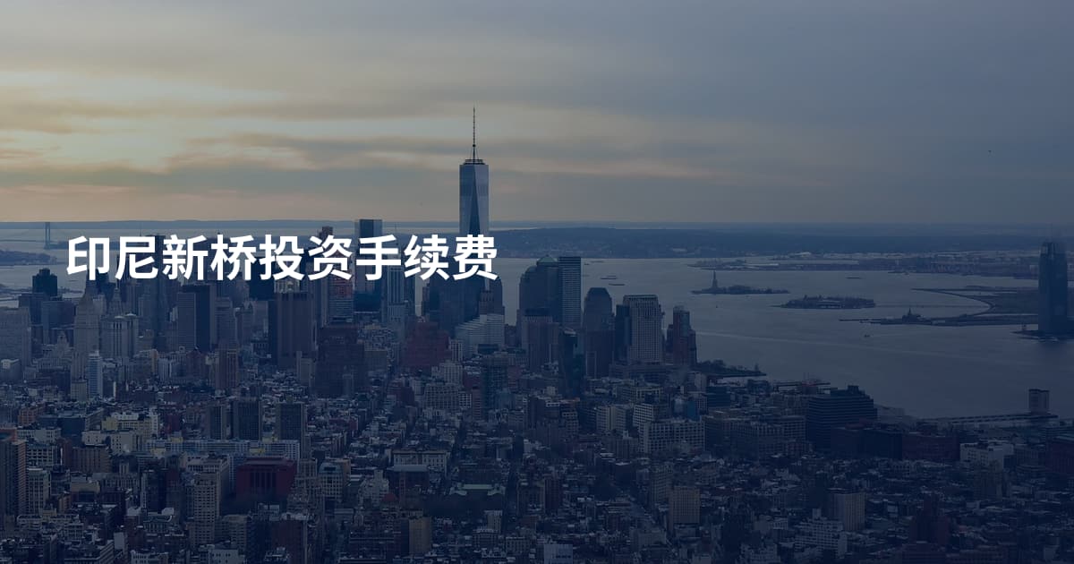 印尼新桥投资手续费