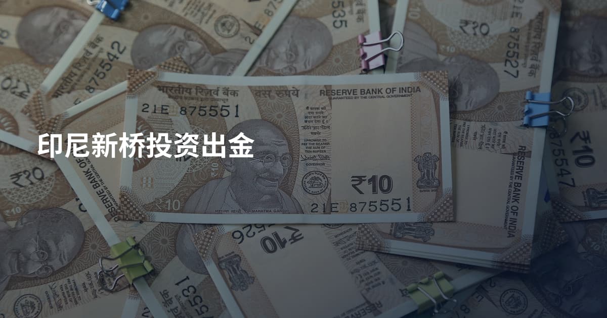 印尼新桥投资出金