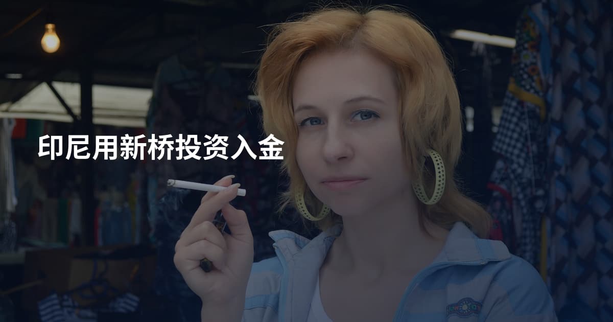 印尼用新桥投资入金