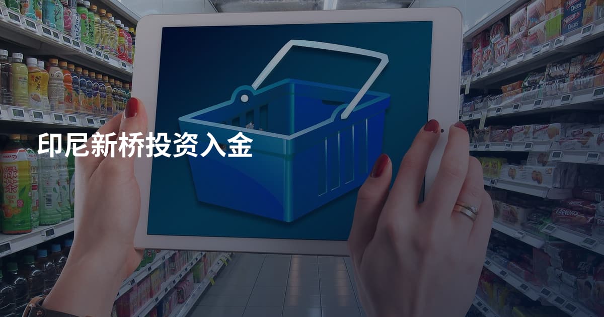 印尼新桥投资入金