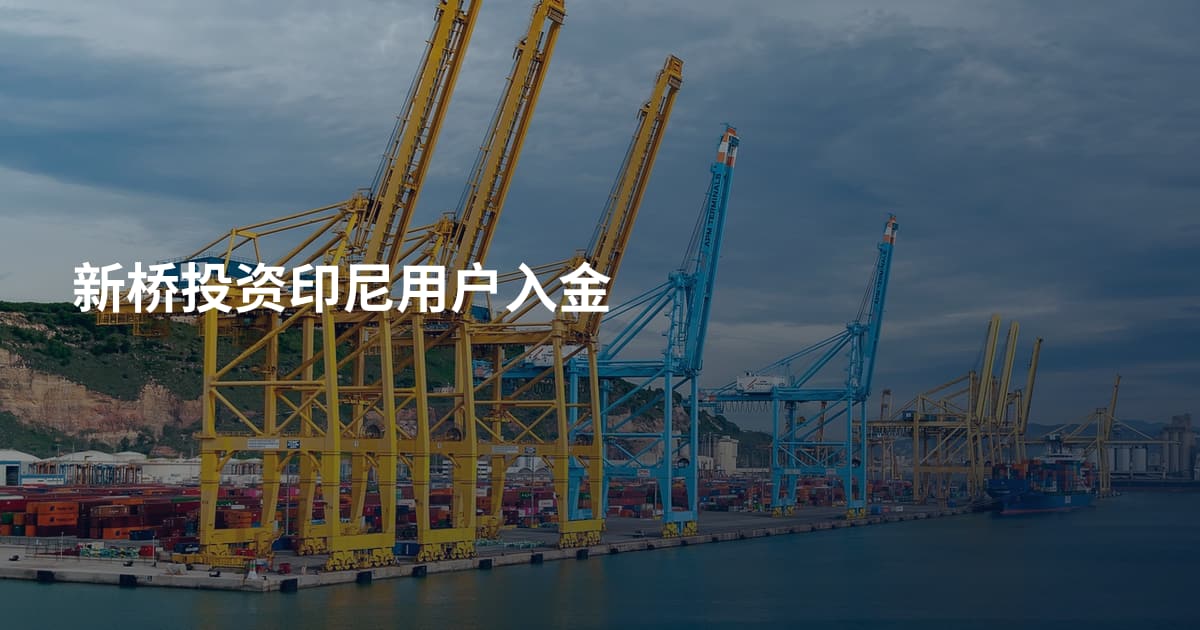 新桥投资印尼用户入金